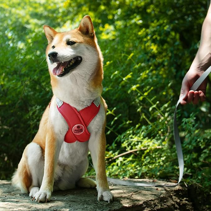 Patas Lague Dog Harness with Leash Set Adjustable Soft Padded Step-in Dog Vest No Choke No Pull Reflective for Medium Pets with Poop Bags and Dispenser, Solid and No-chew, Red L