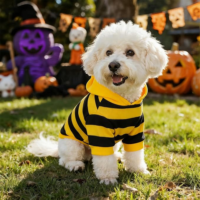 cnomg Bee Costume for Pets Dog Bee Halloween Clothes Hoodies Cat Clothes Puppy Pet Apparel