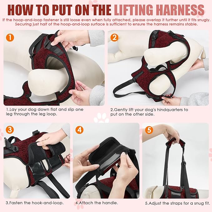 SlowTon Dog Lift Harness - Adjustable Dog Sling for Medium Large Dogs, Hind Leg Support to Help Rehabilitate, Soft Padded Dog Support Harness for Elderly, Injured, Arthritic, Disabled Dogs(R,S)