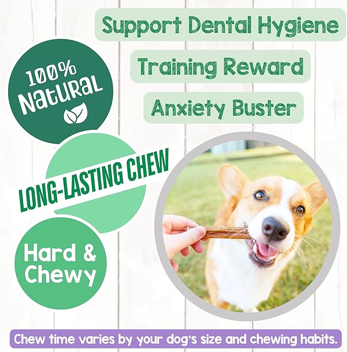 Nature Gnaws Thin Bully Sticks for Dogs 5-6" (1Lb) - Mixed Thickness - Long Lasting for Small Dogs and Puppies - Natural Thin Beef Dog Chew Bones - Rawhide Free