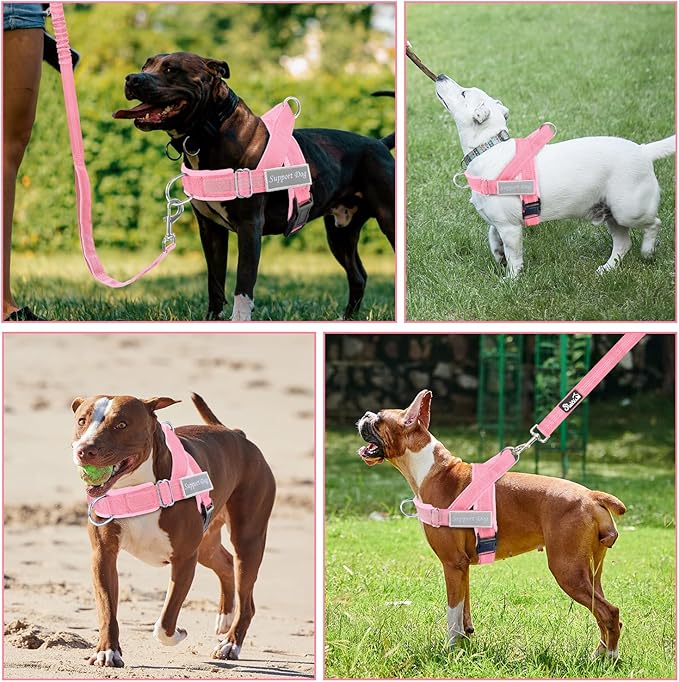 SlowTon No Pull Dog Harness - Heavy Duty Dog Harness and Leash Set for Medium Large Dogs, Reflective Tactical Harness with Soft Padded and Front Clip for Easy Walk and Training (PI, M)