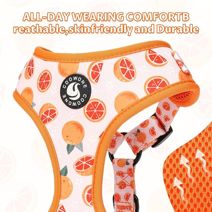 Dog Cat Harness and Leash Set, Puppia Soft Mesh Padded and Adjustable Puppy Vest Cute Dog Clothes Escape Proof Easy Walk Pet Accessories (Grapefruit, M (Neck 13.4"-16.5"; Chest 17.7"-23"))