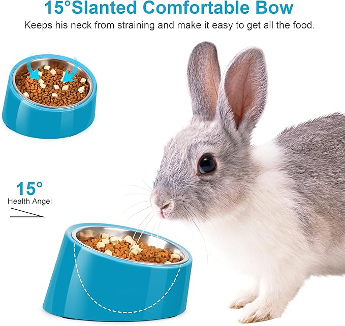 Tilted Dog Bowl Non-Slip & Non-Spill Pet Feeder with Elevated Detachable Melamine Stand, Easy to Get Food Dog Dish, S/100ml Blue