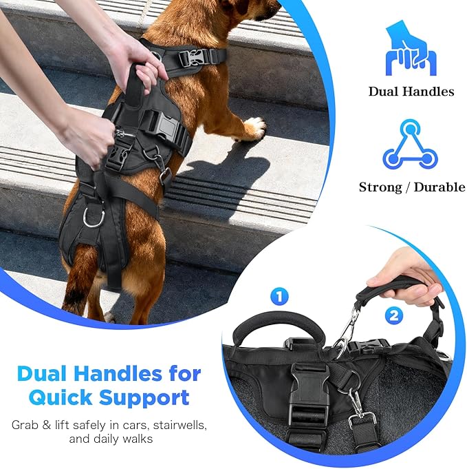 Dog Lift Harness, Full Body Support & Recovery Sling with Rear Leg Strap – Pee-Able Design for Large/Medium Dogs, Mobility Aid Harness for Senior, Injured, Disabled, Arthritic & Post-Surgery Pets (M)