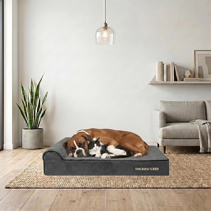 The Dog’s Bed Orthopedic Memory Foam Dog Bed with Headrest, Calming Surface – CertiPUR-Certified Foam, Plush Fabric, Grey Plush, XL, 6-Inch