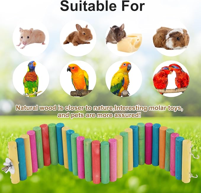 Hamster Bridge, Flexible Bendy Climbing Ladder, Hanging Wooden Hamster Stairs for Small Animals, 15.75" L x 3.15" W, Rainbow Color