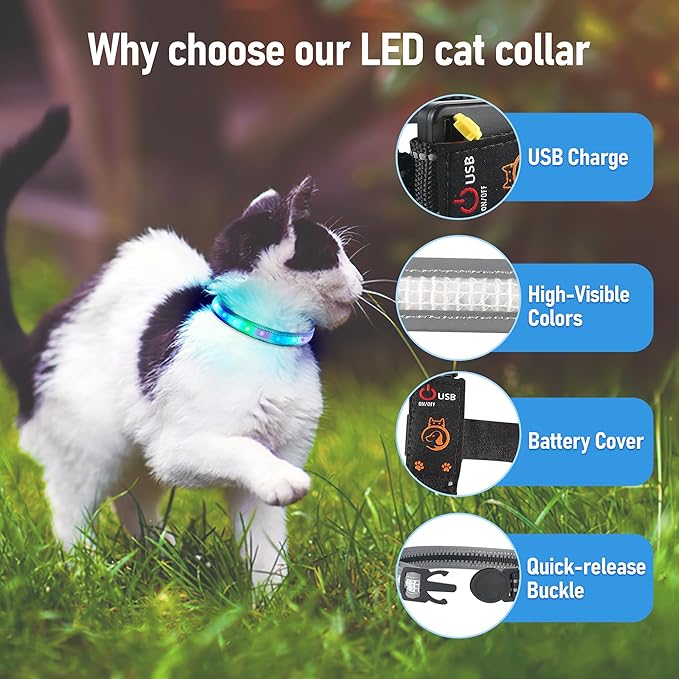 Cat Collar,Light Up Dog Collar, Rechargeable Waterproof LED Cat Collar with Remote, Breakaway Glow in Dark, Dog Lights for Night Walking