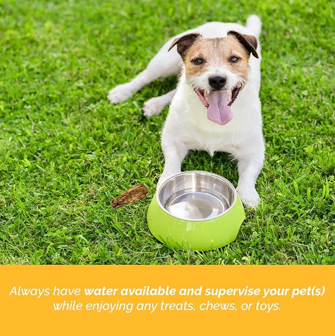123 Treats Dog Bones for Aggressive Chewers - 100% Natural Pork & Beef Flavored Meaty Dog Chews, Made from Grass Fed Cattle, Grain Free Femur Bone | 2 Count