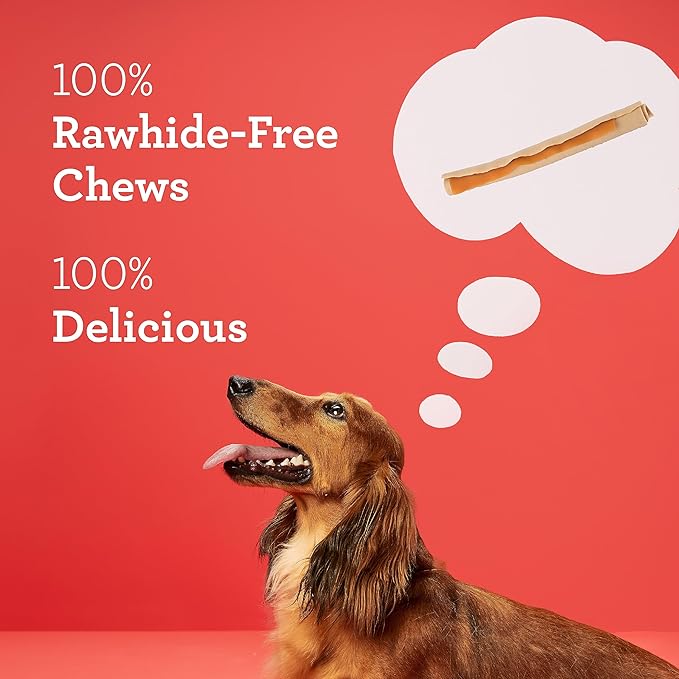 DreamBone DreamSticks Dog Chews Made with Real Sweet Potato, 10 Count (Pack of 1)