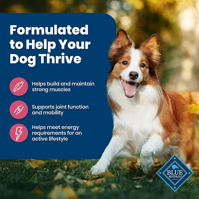 Blue Buffalo Life Protection Formula Adult Dry Dog Food, Helps Build and Maintain Strong Muscles, Made with Natural Ingredients, Salmon & Brown Rice Recipe, 5-lb. Bag