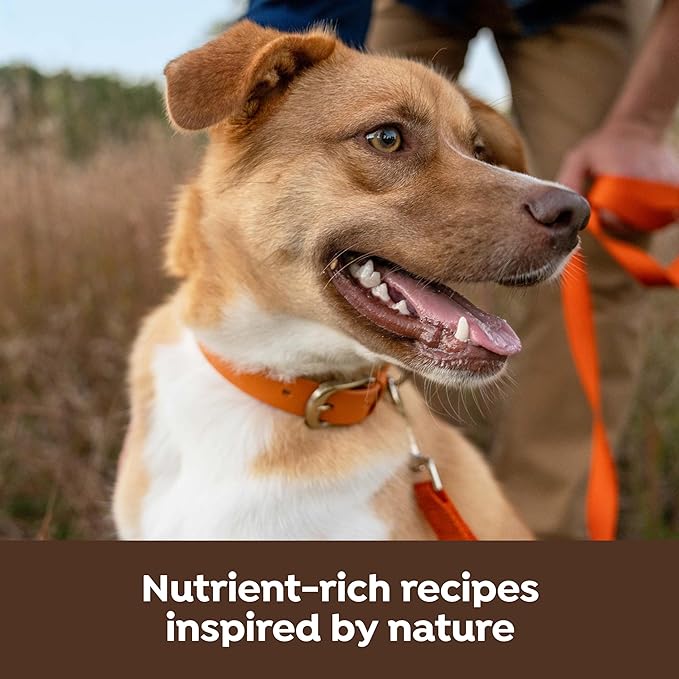 Nature’s Recipe Dry Dog Food with Freeze Dried Chicken Bites, Chicken, Barley & Brown Rice Recipe 3.5 lb Bag (Pack of 4)