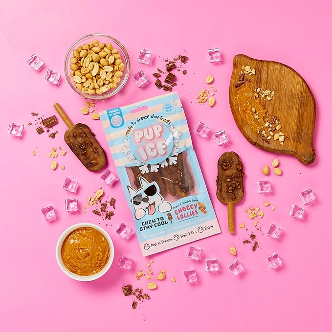 SPOT Pup Ice Dog Treats – Freeze-at-Home Edible Chews for Medium Breed Dogs & Puppies, Safe Peanut & Carob Flavor (No Chocolate), 2ct Rocket Lollies with Real Chicken
