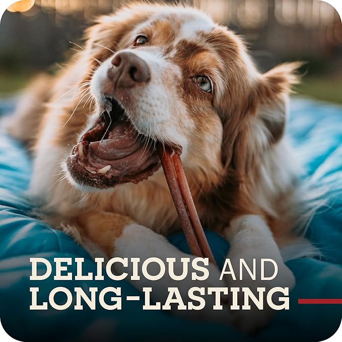 Redbarn Pet Products All Natural 8"-12" Bully Sticks for Medium/Large Dogs - Healthy Long Lasting Chews Variety Party Pack - 100% Beef Single Ingredient Low Odor Rawhide Free - 1lb