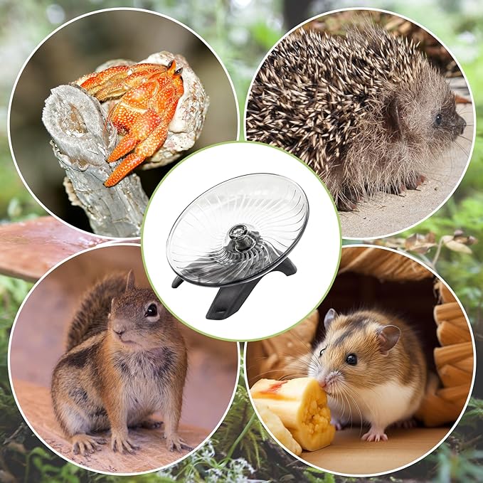 Hermit Crab Exercise Wheel - Silent Running Wheel for Crab Tank Accessories - Small Animal Wheel for Hamster Gerbils Hedgehogs