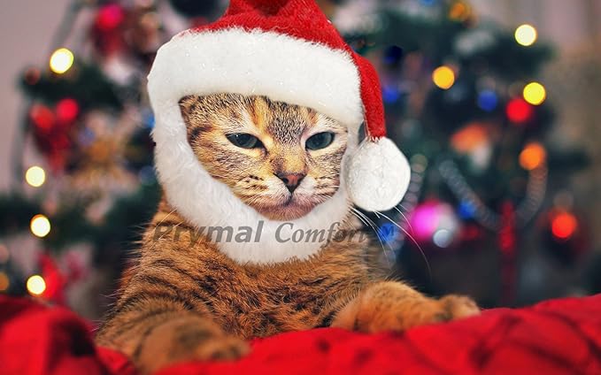Santa Dog Cat Costume