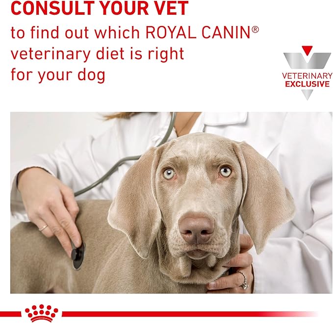 Royal Canin Veterinary Diet Canine Urinary SO Aging 7+ Adult Dry Dog Food, 17.6 lb Bag