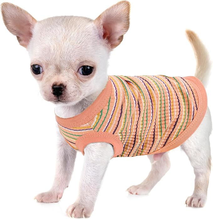 Elevate Your Pet's Comfort and Fashion: Premium 100% Cotton Rib Dog Shirt Vest for Small Breeds Like Chihuahuas, Yorkies, and Puppies .Year-Round Style with Tank-Style Puppy Attire Orange XX-Small