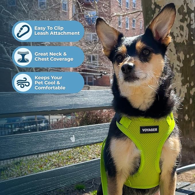 Best Pet Supplies Voyager Step-in Lock Pet Harness w Reflective Pet Leash Combo Set with Neoprene Handle 5ft - Supports Small, Medium and Large Breed Puppies/Cats - Lime Green, S