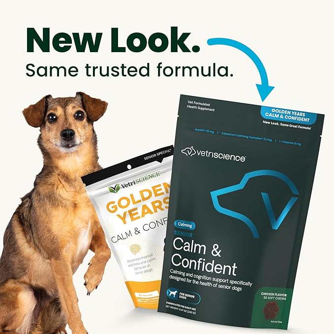 VetriScience Senior Calm & Confident Soft Chews with Colostrum and L-Theanine, Golden Years Calming, Cognition and Brain Health, Sundowners Supplement for Senior Dogs, Chicken, 60 Count