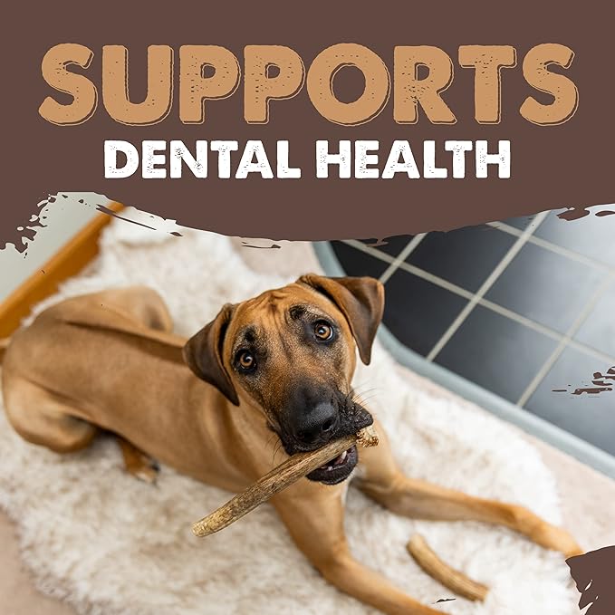 Mighty Paw Split Elk Antlers for Dogs (Sourced in The USA) | 2 Whole Monster 8"+ Long Lasting Bones for Aggressive Chewers - Naturally Shed Split Deer Antler for Dogs - Low Odor Chews (Pack of 2)