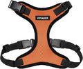 Voyager Step-in Pet Harness - All Weather Mesh, Adjustable Step in Harness for Cats and Dogs by Best Pet Supplies - Orange/Black Trim, M
