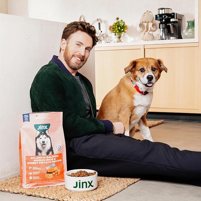 Jinx Premium Dry Dog Food, for All Lifestages - Real Salmon, Brown Rice & Sweet Potato Kibble with Superfoods for Immune Support & Probiotics for Digestive Support - No Fillers - 11.5lb