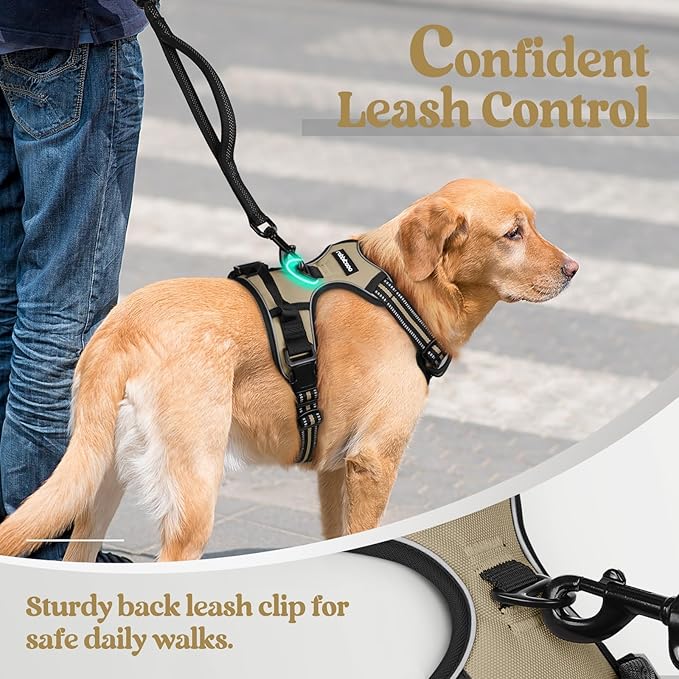 rabbitgoo Dog Harness No Pull with 2 Leash Clips, Adjustable Soft Padded, Reflective Oxford No Choke Pet Vest with Easy Control Handle for Large Dogs, Beige, L