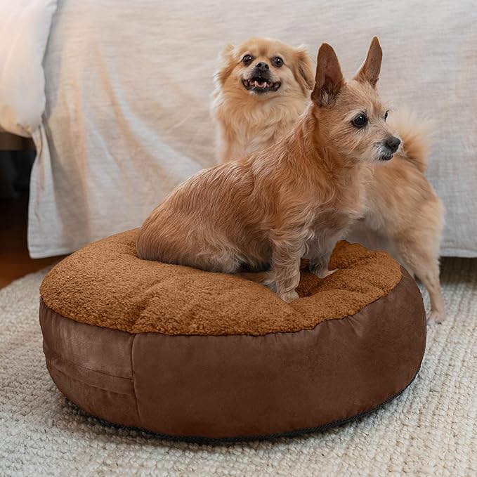 Jaxx Robbi Dog Bed Bean Bag – Round Bed with Machine Washable Cover and No-Slip Base - Supportive Memory Foam for Senior Dogs & Joint Pain Relief - Ultimate Comfort & Luxury - Small, Caramel/Chocolate