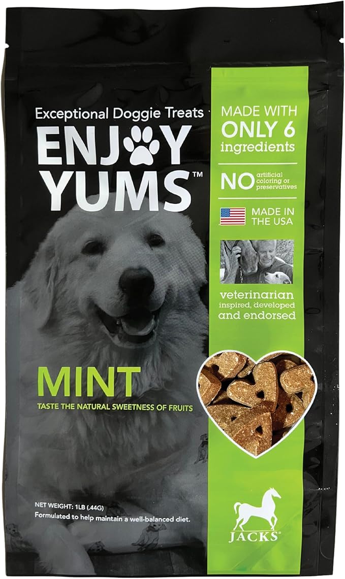 Mint Dog Treats – 1 lb Bag – All-Natural, Low Sugar Dog Biscuits with Peppermint & Honey – Vet-Approved – Made in USA