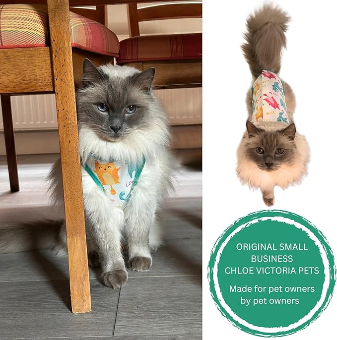 Cat Recovery Suit Surgical Onesie - Post Surgery - Soft Breathable Fabric - No-Cord Design - Protects Wounds and Skin After Spay or Neuter - Male and Female Cats | X-Large