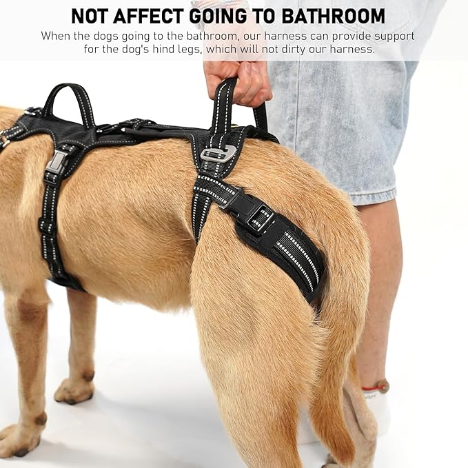 COODEO Mobility Dog Lift Harness, Support Sling & Walking Sling for Dogs, Pet Rear Leg Rehabilitation Support Vest, Dog Carrier for Senior Dogs with Joint Injuries, Arthritis, Up Stair (Black, S)