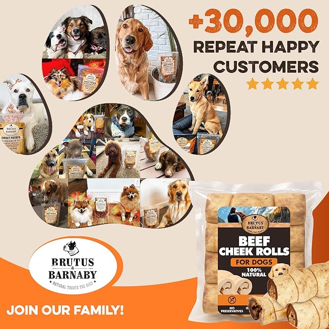 Premium Beef Cheek Rolls for Dogs 10-12" - (3-Pack), Peanut Butter Flavored Long Lasting, Safe & Natural Rawhide Alternative Chews, Ideal for Large Dogs & Aggressive Chewers, Supports Dental Health