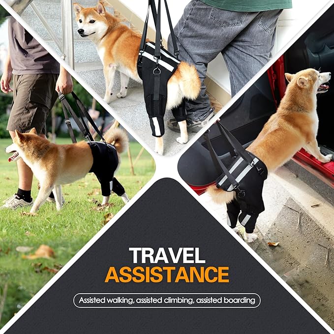 Pet Lift Harness for Large Medium Dogs, Carrier Sling Hind Leg Support Harness, Doggie Hip Dysplasia Support Brace, Reflective Pet Auxiliary Harness for Elderly Injured Arthritic Senior Disabled Dogs