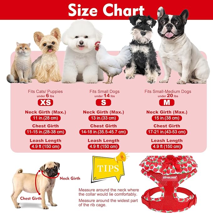 EXPAWLORER Cute Dog Harness Collar Leash Set - Red Girl Dog Harness Checkered Step-in Design, Adjustable No-Choke Lightweight Mesh Vest for Cats Puppy Small Dogs, Strawberry XS