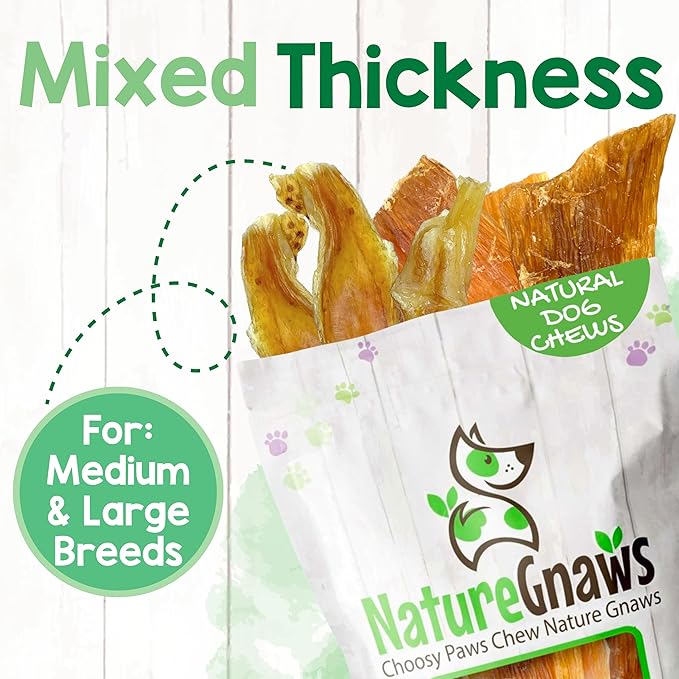 Nature Gnaws Beef Tendons for Dogs (1Lb) - Mixed Thickness - Long Lasting for Small and Medium Dogs - Natural Beef Jerky Dog Chew Bones - Rawhide Free
