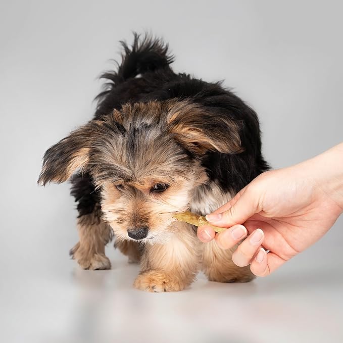 Fieldcrest Farms Nothin' to Hide Twist Stix, Bacon Flavor, Easily Digestible, Supports Skin, Coat, Joints & Muscles, for Moderate Chewers Under 15lbs, 10 Pieces