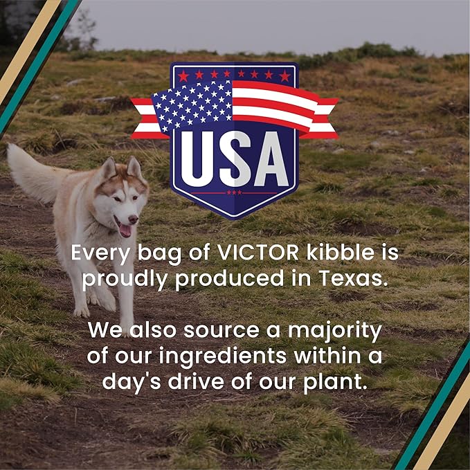 VICTOR Super Premium Dog Food – Hi-Pro Plus Dry Kibble – High Protein Dog Food with 30% Protein – Beef, Chicken, Pork, Fish Meals, Gluten Free - for High Energy and Active Dogs & Puppies, 15lbs