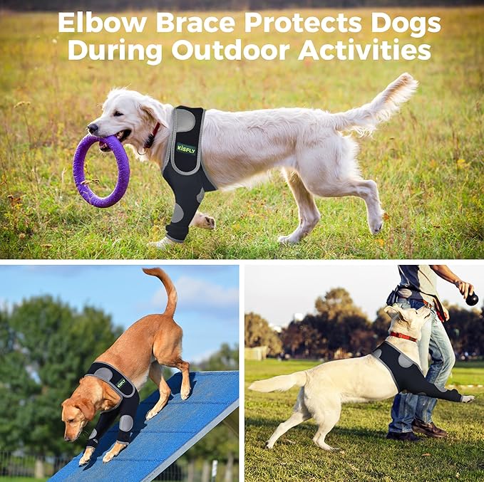 Dog Leg Sleeve for Front Legs, Helps Prevent Licking Wounds, Hygroma, Calluses & Pressure Sores, Elbow and Shoulder Support, Reflective Material for Night Safety, Both Legs, Size M