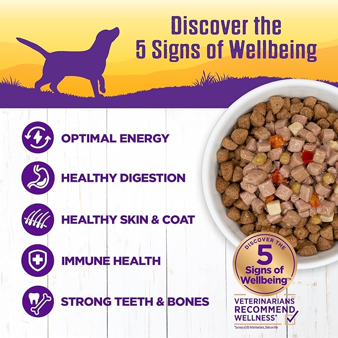 Wellness Complete Health Grain Free Canned Wet Dog Food, Chicken Stew, 12.5-Ounce Can (Pack of 12)