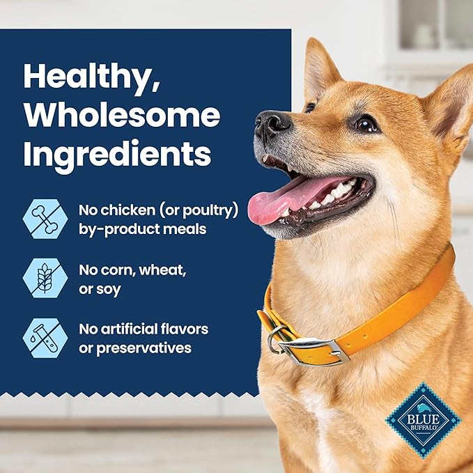 Blue Buffalo Dental Chews Large Natural Dog Treats, Chicken & Spearmint 22-oz Bag (14 Count)