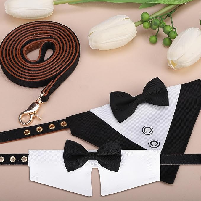 BINGPET Puppy Collar and Leash Set for Small Dogs, Dog Tuxedo Suit Wedding Bandana Collar with Bow Tie & Bell for Boy Dogs, Adjustable Formal Dog Tux Engagement Birthday Tuxedo, Black S