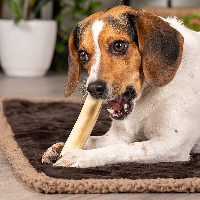 Pet Factory American Beefhide 5" Chip Rolls Dog Chew Treats - Natural Flavor, 8 Count/2 Pack