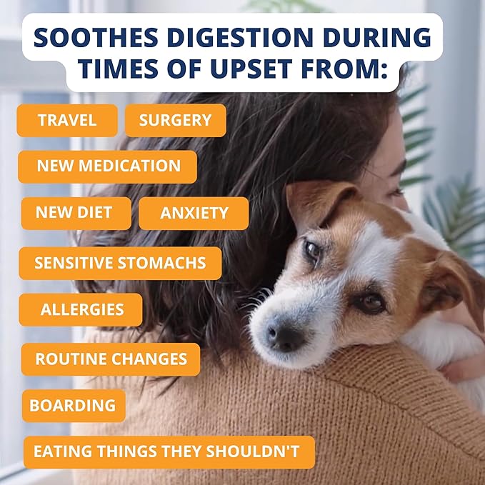 Under the Weather Bland Diet for Dogs | Easy to Digest for Sick Dogs |Always Be Ready | Contains Electrolytes - All Natural Freeze Dried 100% Human Grade Meats | 1 Pack - Rice, Chicken & Pumpkin - 6oz