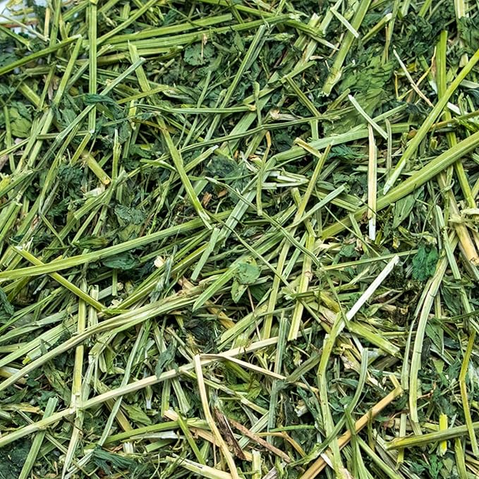 Rabbit Hole Hay - Ultra Premium Alfalfa Hay for Small Pets - 20 lb Box - Fresh & Hand-Sorted