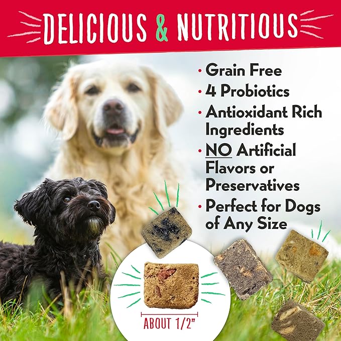 Charlee Bear Grain Free Meaty Bites Freeze Dried Dog Treats with Probiotics, Puppy Training Snacks, Soft Dog Bites Variety Pack, 2.25 oz Bags (5), Made USA