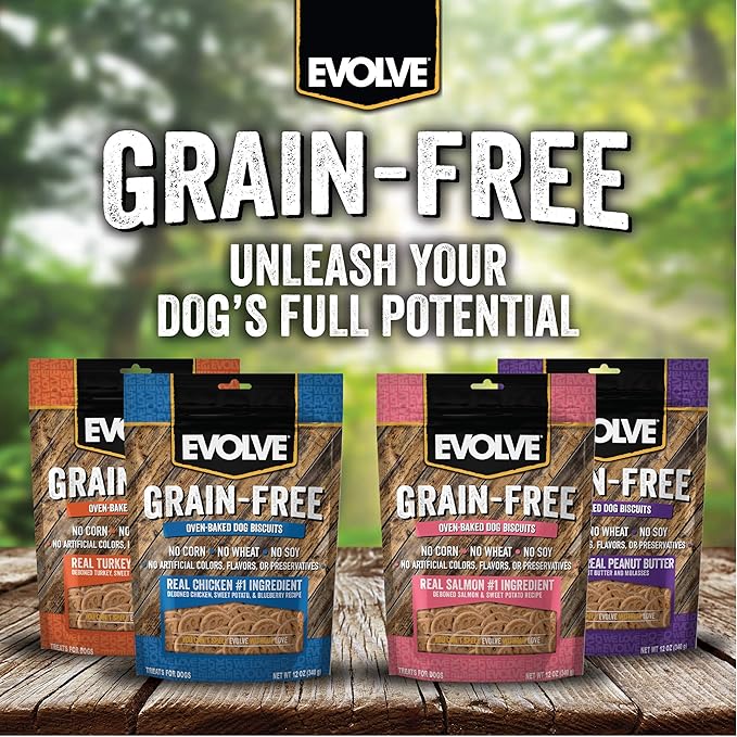 Evolve Pet Food Grain Free Deboned Salmon and Chickpea Dog Biscuits 12 Ounce (Pack of 2)