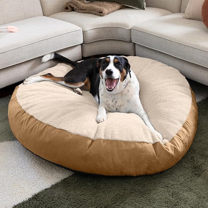 JAXX Robbi Dog Bed Bean Bag – Round Bed with Machine Washable Cover and No-Slip Base - Supportive Memory Foam for Senior Dogs & Joint Pain Relief - Ultimate Comfort & Luxury - Large, Cloud/Beige