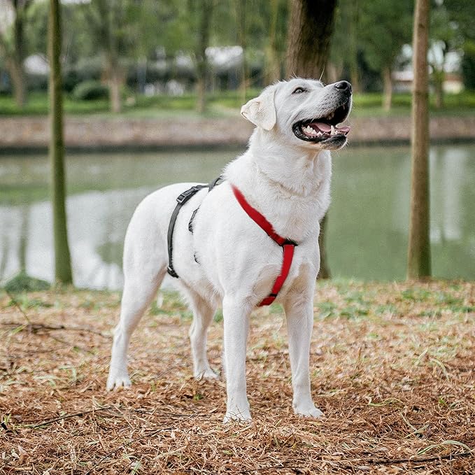 PUPTECK Escape Proof Dog Harness - No Pull Soft Padded Full Body Pet Halter Harness with Lift Handle for Small Medium Large Doggies Walking Hiking Hunting, Red & Black, M