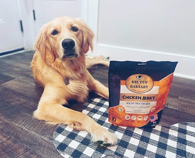 BRUTUS & BARNABY Chicken Jerky Dog Treats- Dehydrated, Crunchy USA Premium Fillets, Grain-Free, Preservative-Free, No Fillers. All Natural Chicken Strips are Great for Dogs and Cats- 32oz