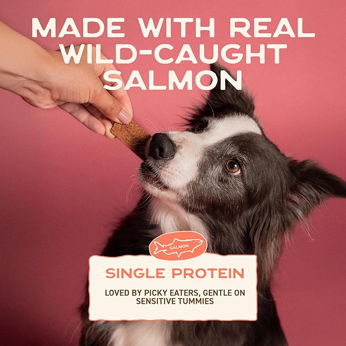 Smart Cookie Salmon Jerky Dog Treats - DHA, Omega Strips for Dogs & Puppies with Allergies, Sensitive Stomachs with Wild Caught Alaskan Salmon- Dehydrated, Grain Free, Made in USA - 3oz Bag, Pack of 3